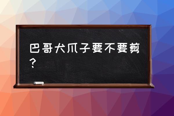 巴哥犬要不要剪指甲 巴哥犬爪子要不要剪？