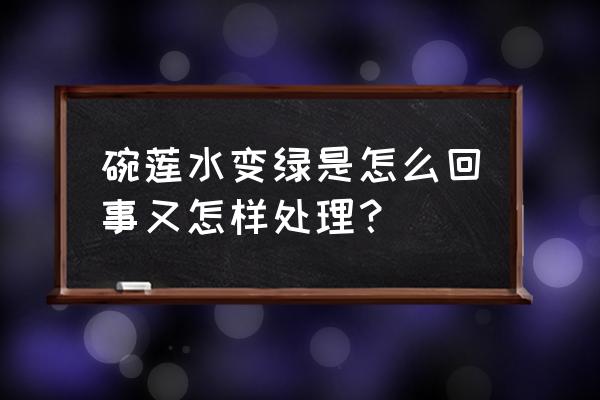 室内碗莲为啥会有青苔 碗莲水变绿是怎么回事又怎样处理？