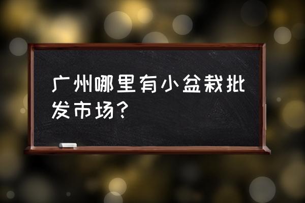 白云区哪里有花盆批发市场 广州哪里有小盆栽批发市场？