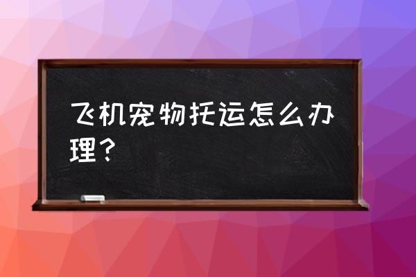 坐飞机托运宠物怎么弄 飞机宠物托运怎么办理？