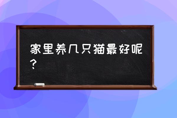 六十平米养几只猫 家里养几只猫最好呢？