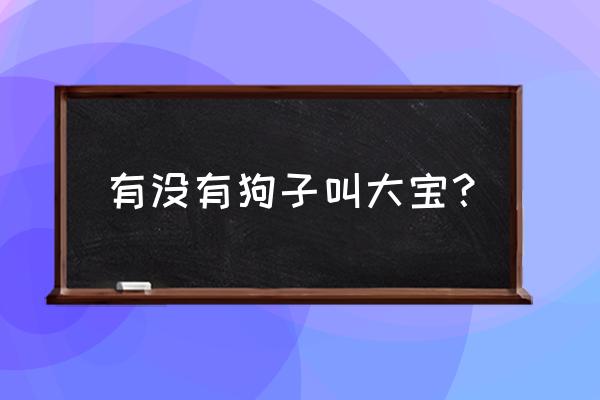 乐山大宝宠物怎样收费 有没有狗子叫大宝？