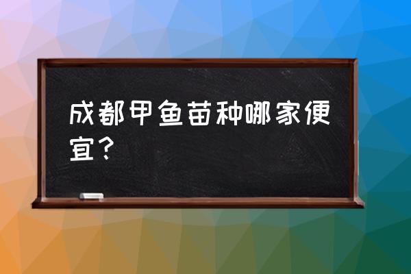 甲鱼小苗批发价格多少 成都甲鱼苗种哪家便宜？