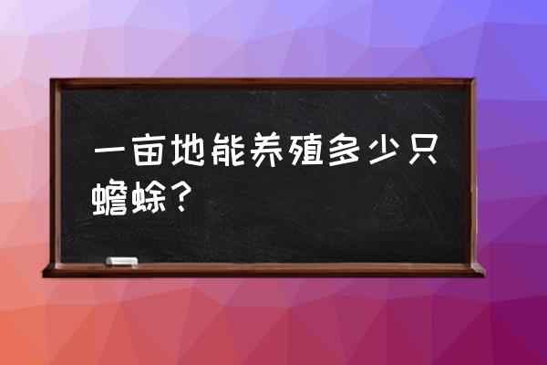 一亩地可以养多少蟾蜍 一亩地能养殖多少只蟾蜍？