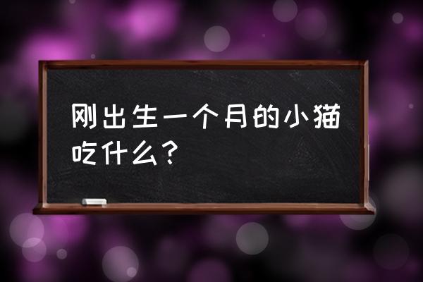 一个月奶猫吃什么 刚出生一个月的小猫吃什么？