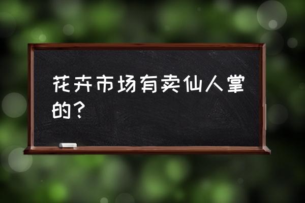 延吉哪里有盆栽花卉批发 花卉市场有卖仙人掌的？