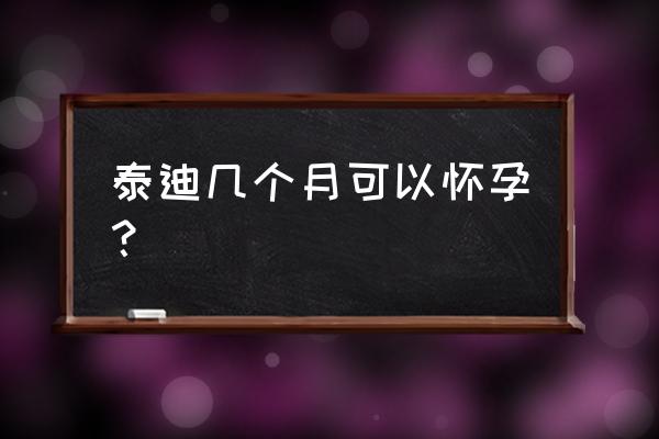 狗养多久可以怀孕 泰迪几个月可以怀孕？