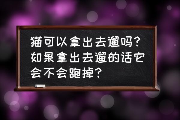 带猫兜风猫会不会跑丢 猫可以拿出去遛吗？如果拿出去遛的话它会不会跑掉？