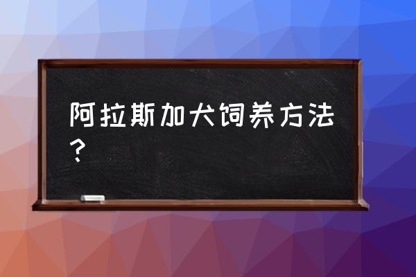 怎样养好阿拉斯加 阿拉斯加犬饲养方法？