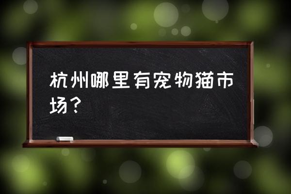 杭州的宠物批发市场在哪 杭州哪里有宠物猫市场？