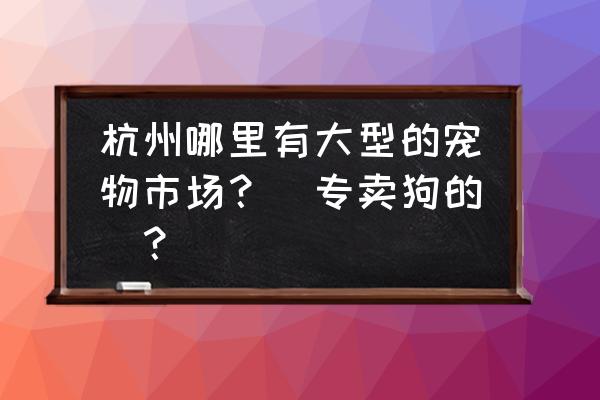 杭州哪里有卖贵宾犬 杭州哪里有大型的宠物市场？（专卖狗的）？