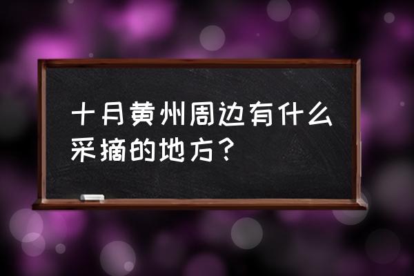 黄冈哪儿采摘桑葚 十月黄州周边有什么采摘的地方？