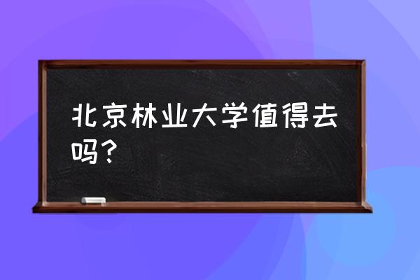 北京林业大学建筑学怎么样 北京林业大学值得去吗？