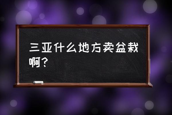 三亚哪有花卉批发市场 三亚什么地方卖盆栽啊？