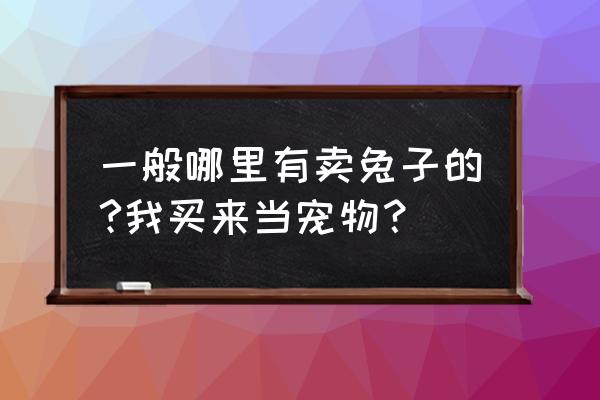 聊城白条兔哪里有卖 一般哪里有卖兔子的?我买来当宠物？