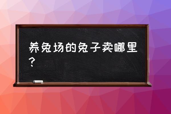 昭通兔子交易市场在哪里 养兔场的兔子卖哪里？