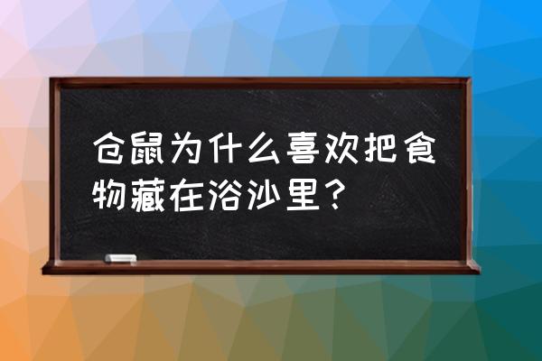 为什么仓鼠吐食物是黄的 仓鼠为什么喜欢把食物藏在浴沙里？