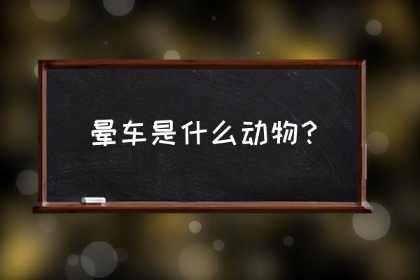 狗晕车一般几天能恢复 晕车是什么动物？