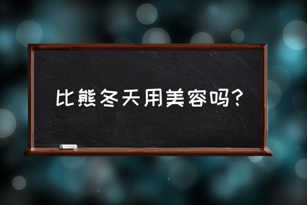 比熊美容需要哪些工具 比熊冬天用美容吗？