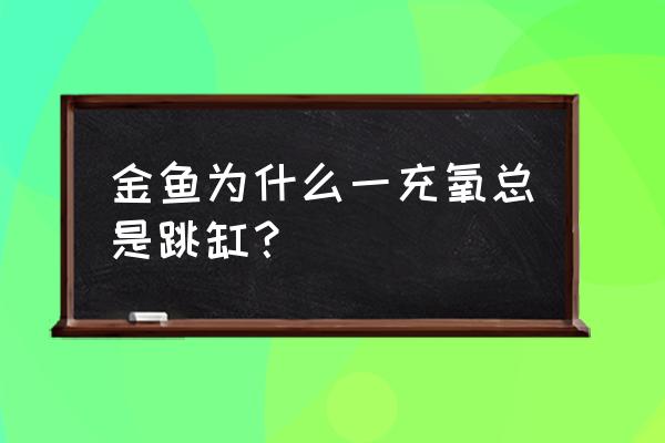 金鱼躲在水泵上怎么办 金鱼为什么一充氧总是跳缸？