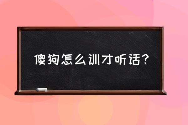 狗狗在家叫怎么训 傻狗怎么训才听话？