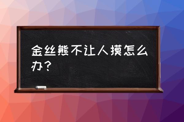 仓鼠刚刚到家不让人碰怎么办 金丝熊不让人摸怎么办？