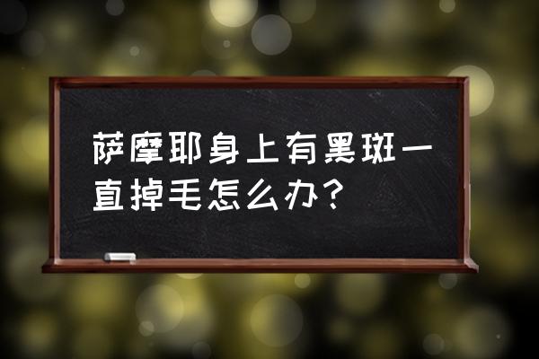 狗狗身上出黑斑怎么回事 萨摩耶身上有黑斑一直掉毛怎么办？