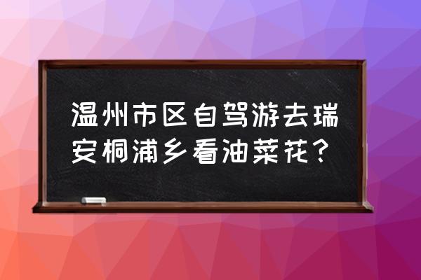 油菜花自驾游攻略 温州市区自驾游去瑞安桐浦乡看油菜花？