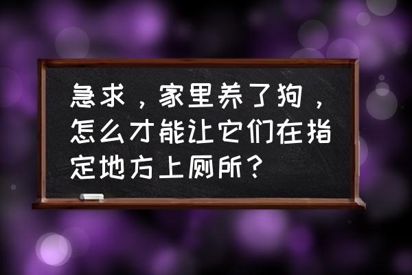 萨摩耶在屋里怎么养教程 急求，家里养了狗，怎么才能让它们在指定地方上厕所？