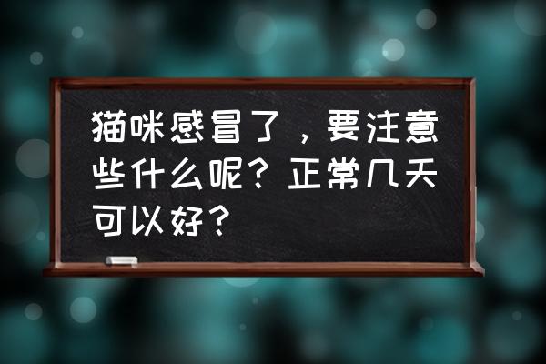 天天躲猫猫2的40关 猫咪感冒了，要注意些什么呢？正常几天可以好？