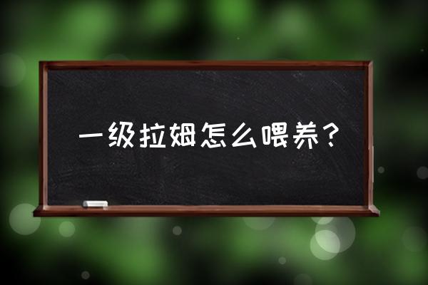 拉姆生病用不了药水 一级拉姆怎么喂养？