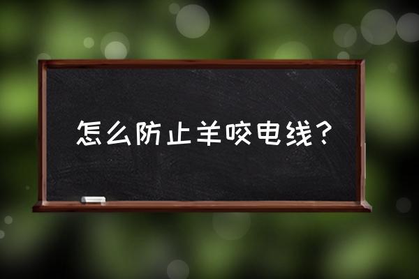 猫咪咬线是什么原因 怎么防止羊咬电线？