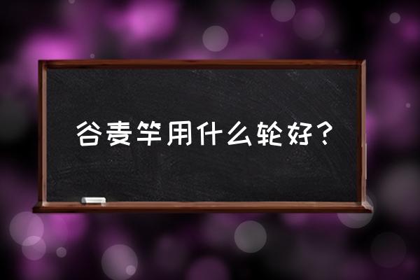 前打竿配合前打轮可以抛投吗 谷麦竿用什么轮好？