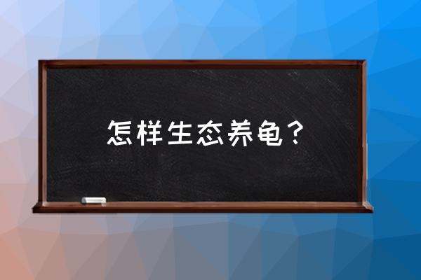 怎样才能把乌龟养活 怎样生态养龟？