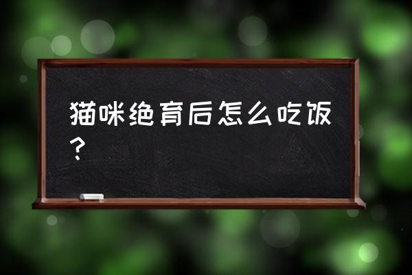 母猫绝育后不吃不喝一动不动 猫咪绝育后怎么吃饭？