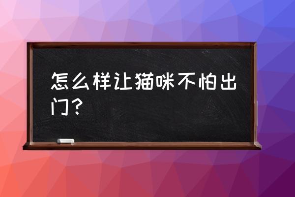 猫咪怎么找比较容易找到 怎么样让猫咪不怕出门？