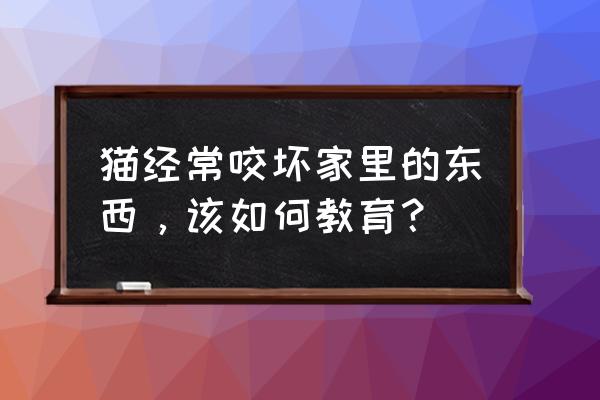 宠物猫老是抓东西怎么办 猫经常咬坏家里的东西，该如何教育？