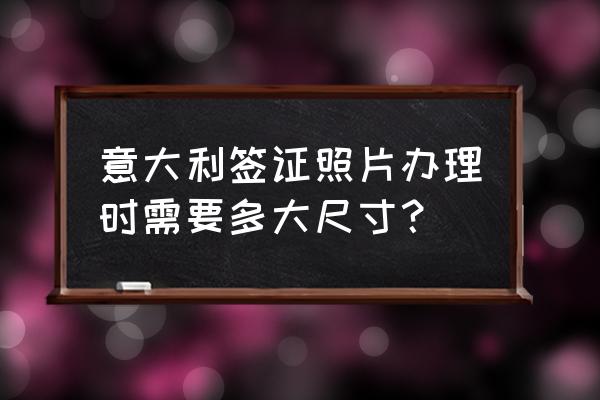 意大利签证表格填写样本 意大利签证照片办理时需要多大尺寸？