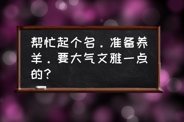 羊年宝宝名字免费取名 帮忙起个名。准备养羊。要大气文雅一点的？