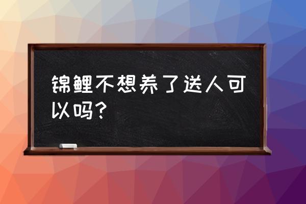 锦鲤鱼不想养怎么处理好 锦鲤不想养了送人可以吗？