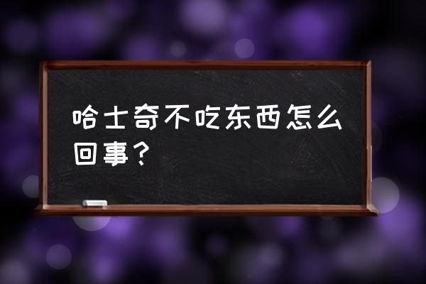 哈士奇几天不吃饭怎么回事 哈士奇不吃东西怎么回事？