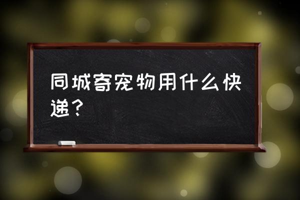 同城宠物猫交易平台哪个好 同城寄宠物用什么快递？