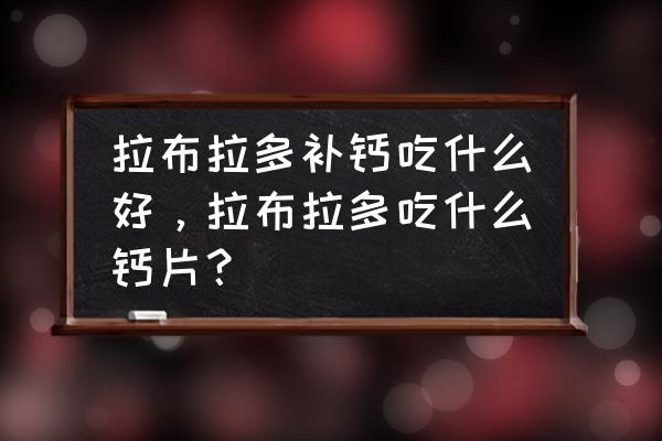 拉布拉多犬需要一直补钙吗 拉布拉多补钙吃什么好，拉布拉多吃什么钙片？