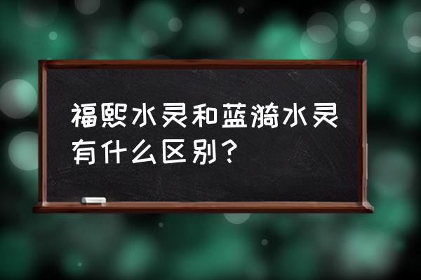 洛克王国蓝漪水灵怎么培养 福熙水灵和蓝漪水灵有什么区别？