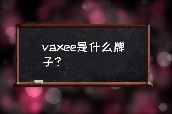 小型影碟机充电器价格货到付款 vaxee是什么牌子？