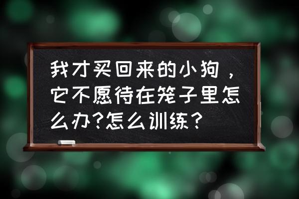 狗狗刚到家不想呆在笼子里怎么办 我才买回来的小狗，它不愿待在笼子里怎么办?怎么训练？