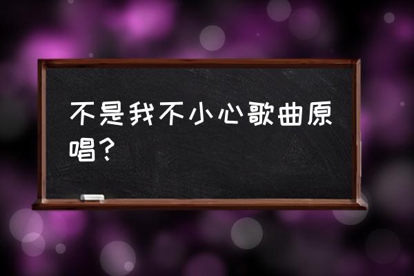 张镐哲全部歌曲不是我不小心歌词 不是我不小心歌曲原唱？