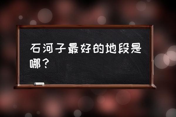 石河子大学博物馆对外开放吗 石河子最好的地段是哪？