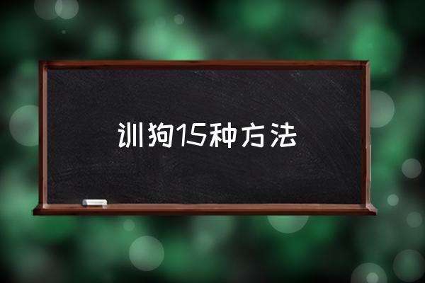 不用训就能让狗狗听话的方法 训狗15种方法