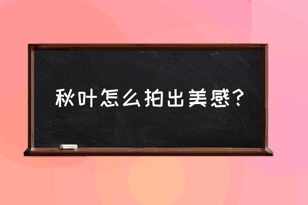 拍摄银杏叶的5个技巧值得收藏 秋叶怎么拍出美感？